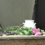 Setting-up-a-Still-Life-1-300×169